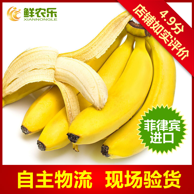 【鲜农乐】菲律宾香蕉约3斤北京4份包邮 新鲜进口水果单把约1500g