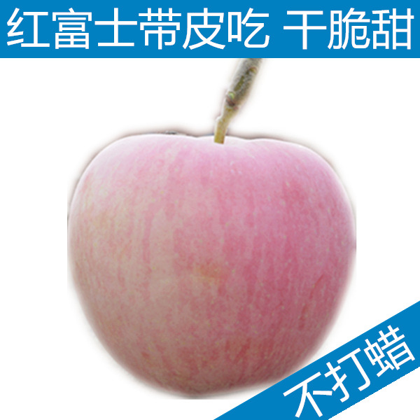 烟台红富士苹果 栖霞新鲜水果 正宗带皮吃丑山地果  出口200g9个
