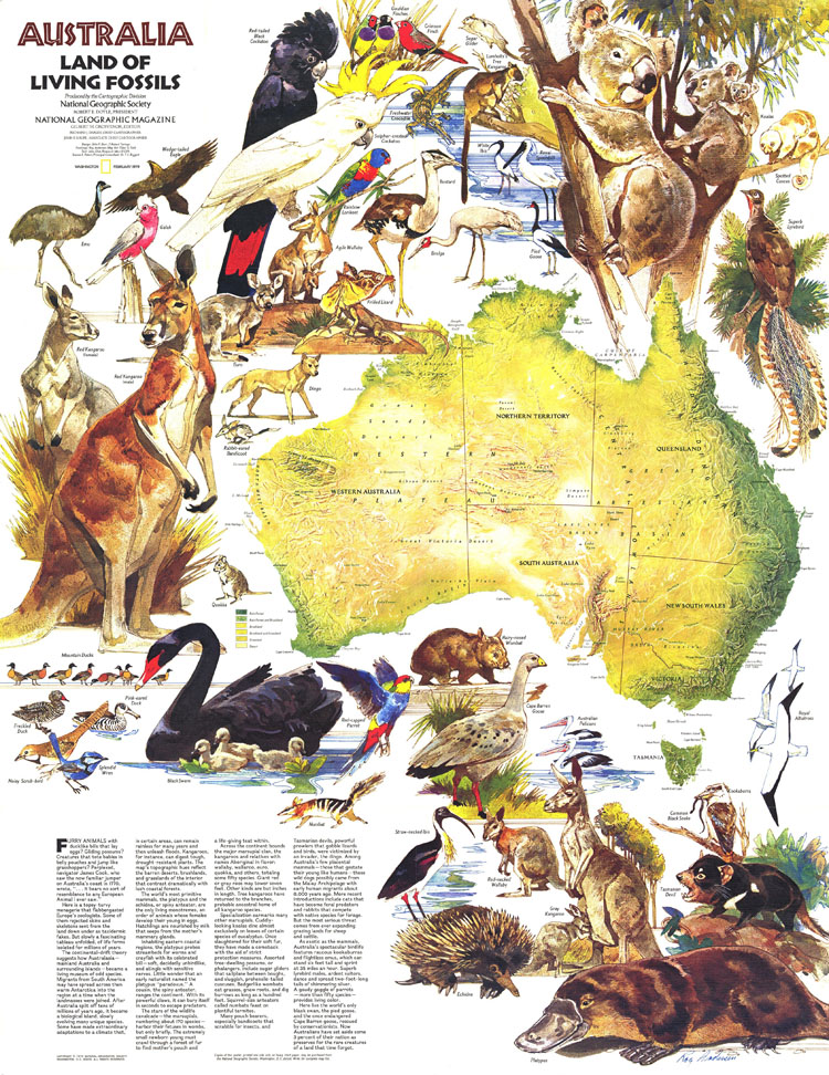 澳洲动物地图国家地理版儿童房幼儿园旅行社装饰画书房壁挂画芯S