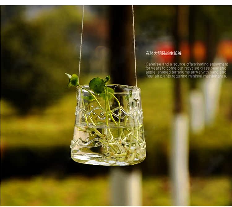 玻璃瓶 悬挂式空中吊饰田园风花盆水培装饰 透明玻璃花瓶 p02