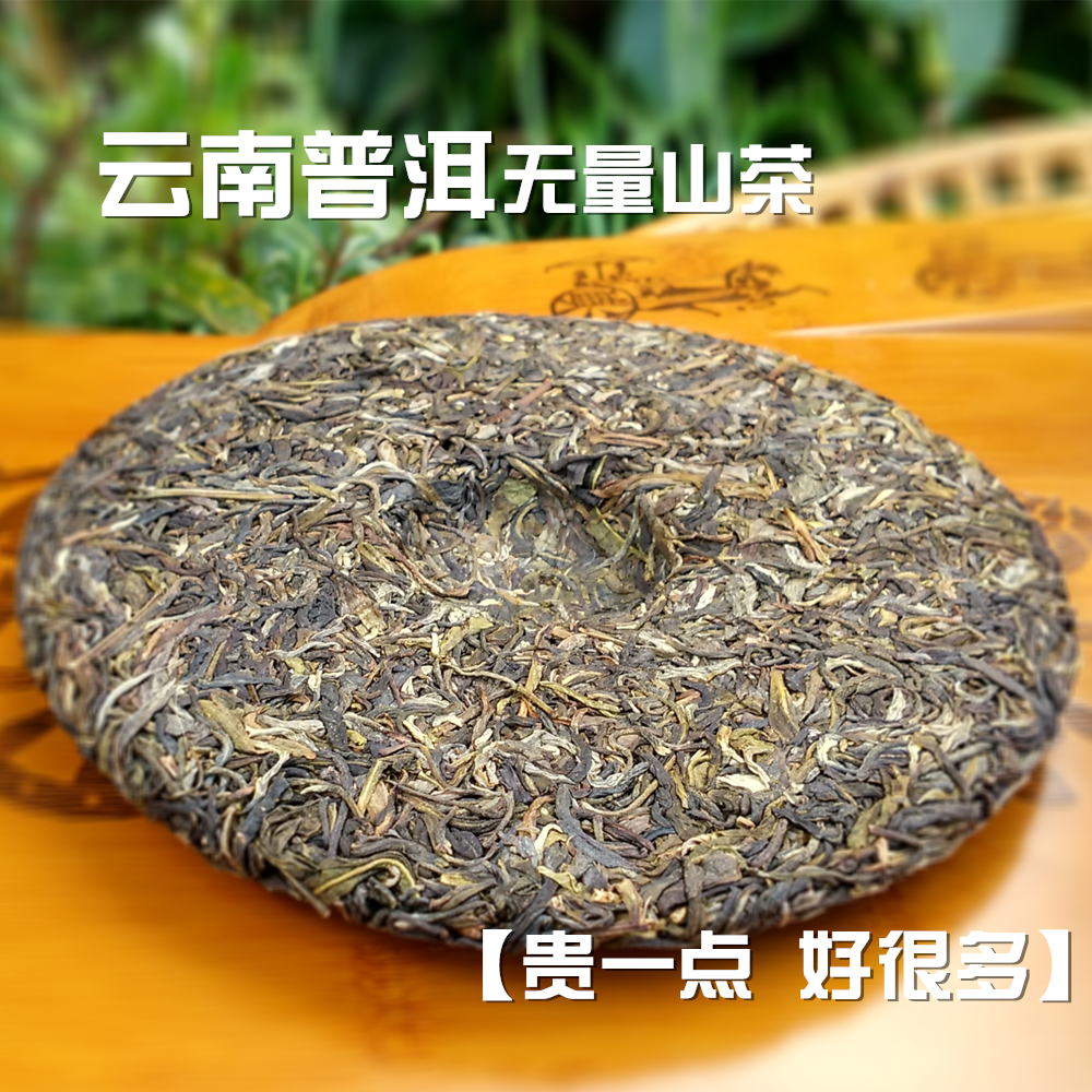云南普洱青饼绿茶大叶种晒烤青毛茶生茶散茶普洱茶传统工艺茶