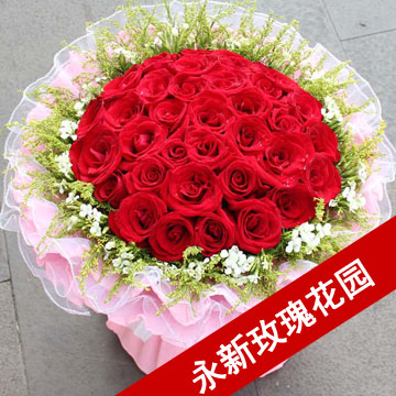 33朵红玫瑰永新鲜花速递 吉安 永新送花 吉安鲜花店 永新县鲜花店