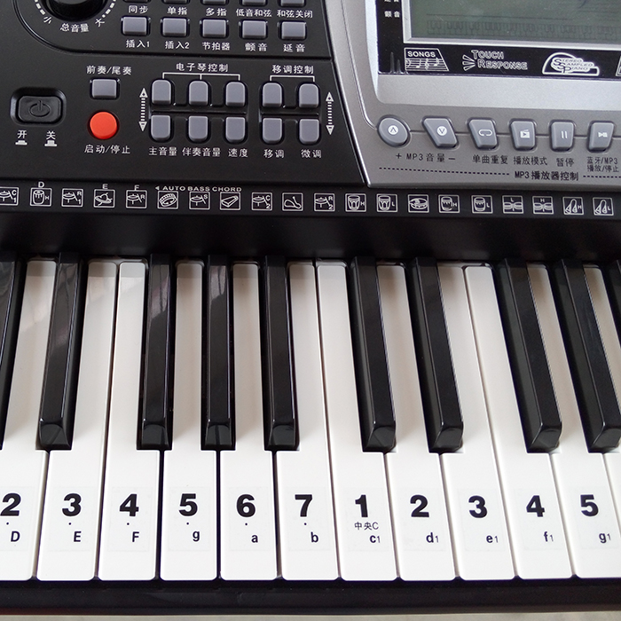 电子琴键盘贴 简谱贴 位置贴 电子琴电钢琴手卷钢琴数字键位贴
