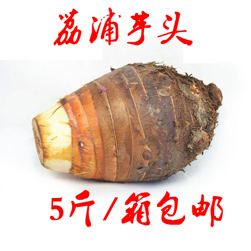 【现货】桂林荔浦芋头新鲜槟榔芋香芋 特级芋 超级粉5斤/箱  包邮