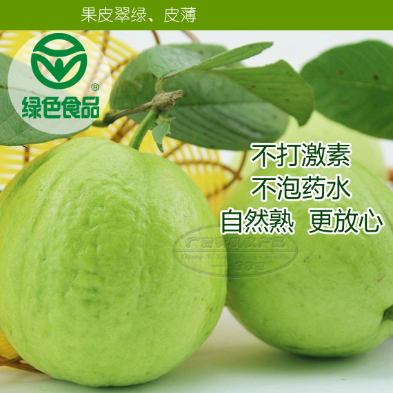 果园现摘 台湾珍珠芭乐番石榴 绿色新鲜水果 潘石榴 5斤包邮