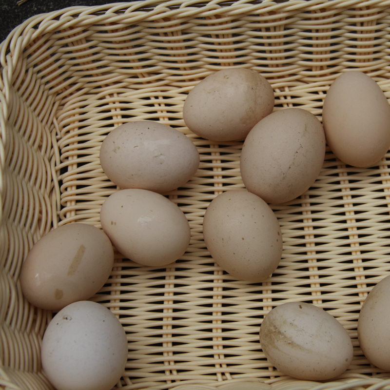 香蜜山 散养土鸡蛋 30枚 杂粮喂养正宗草鸡农家自养本鸡蛋 包邮
