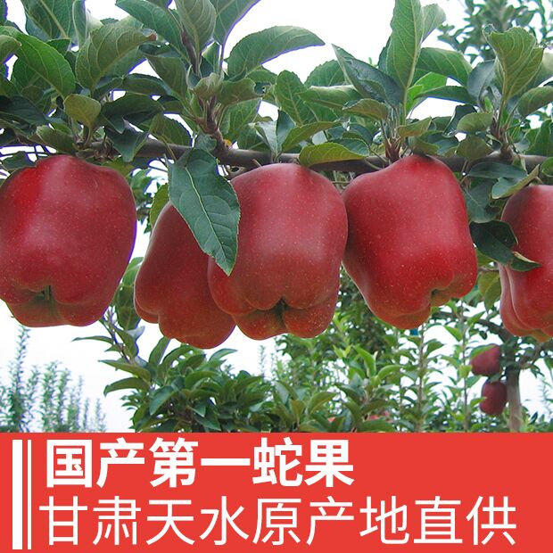 花牛苹果蛇果新鲜花牛苹果水果非烟台栖霞洛川红富士10斤平安果