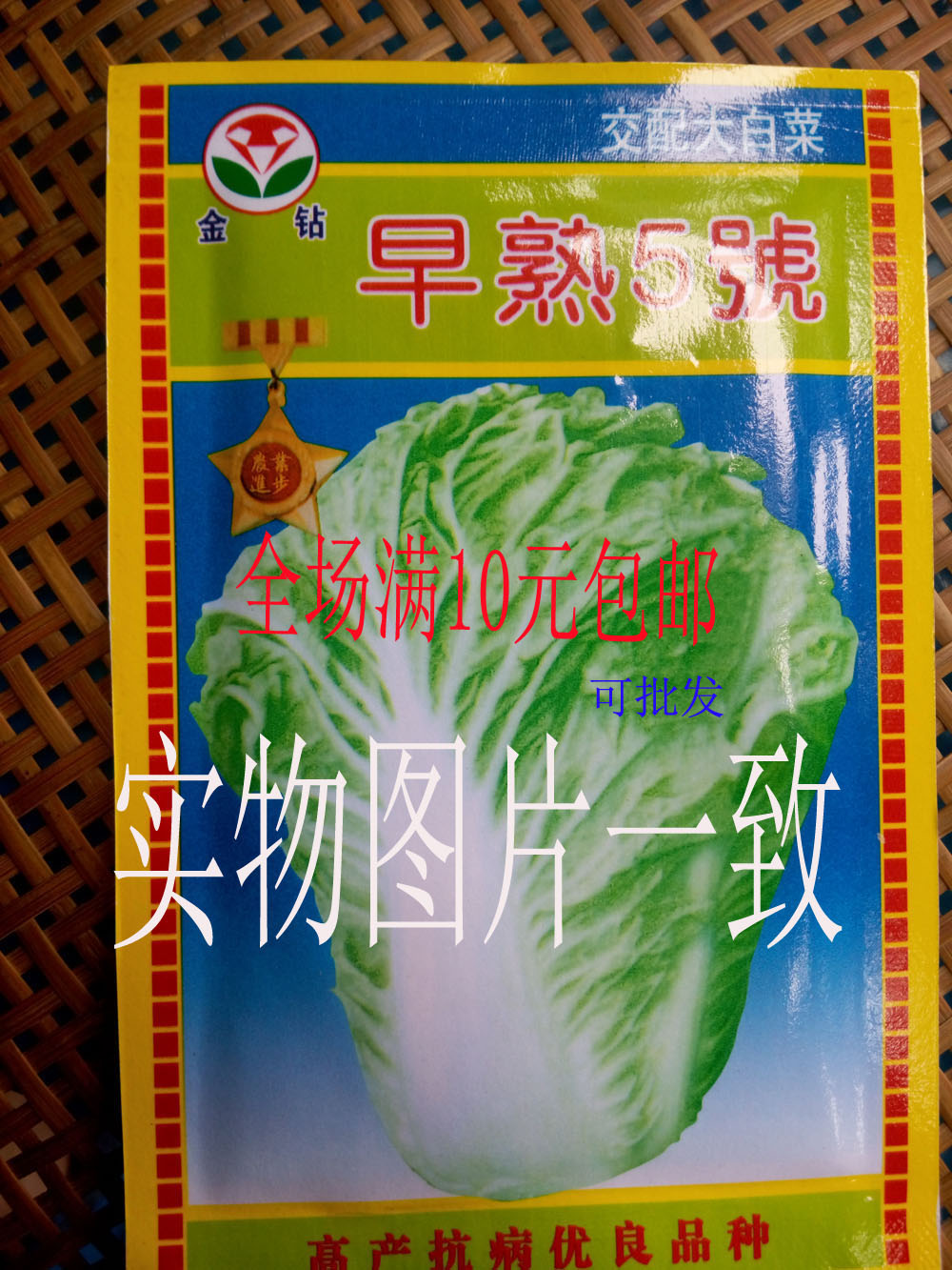 早熟5号大白菜种子10克高产蔬果植物