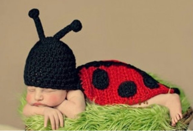 出租-七星瓢虫造型宝宝套装 手工服装男女婴儿童毛线帽子摄影道具