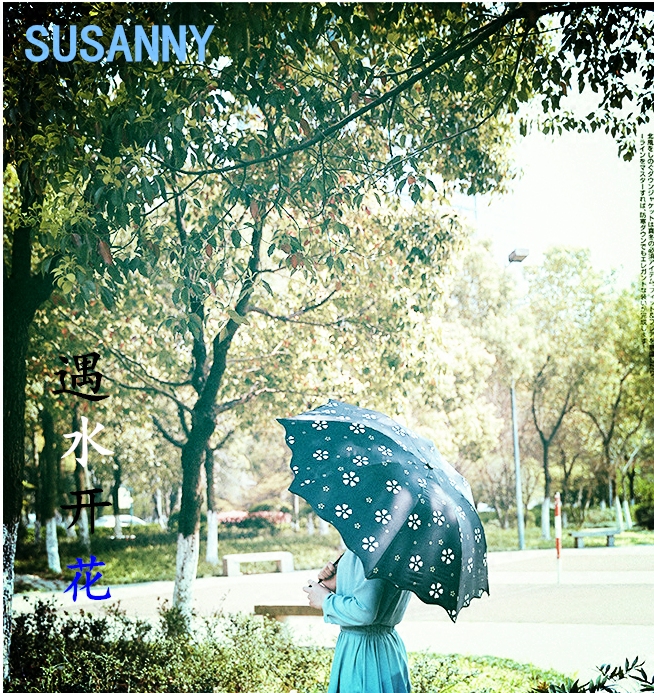 Susanny晴雨伞遇水开花黑胶双层遮阳伞防晒防紫外线折叠创意户外