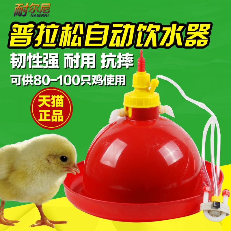 耐尔尼养鸡用自动饮水器 普拉松自动饮水器 鸡饮水桶 小鸡饮水壶
