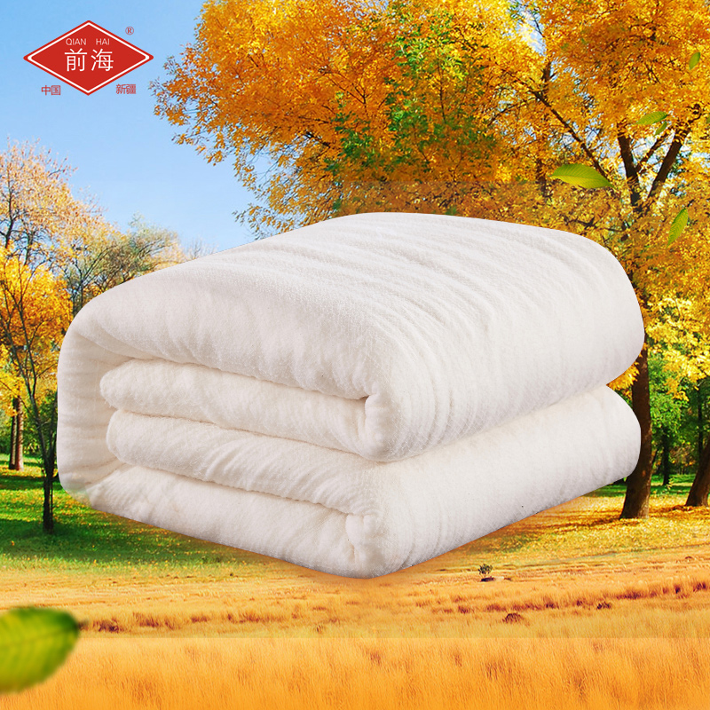 前海 新疆棉被子冬天加厚被芯春秋被棉花被棉絮棉胎空调被冬被
