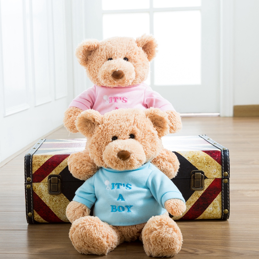 小泰迪熊 毛绒玩具   熊熊猫 泰迪熊公仔娃娃 男女宝宝礼品