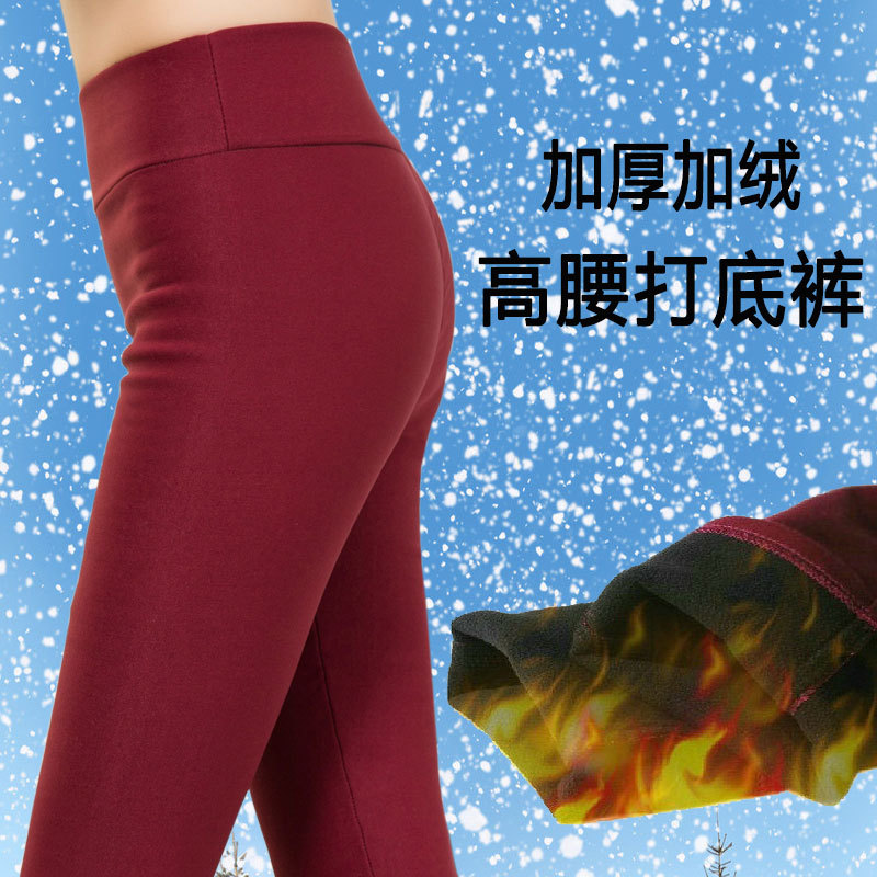 艾尚玫瑰2015秋冬新款韩版大码女装 糖果色加绒铅笔裤打底裤批发