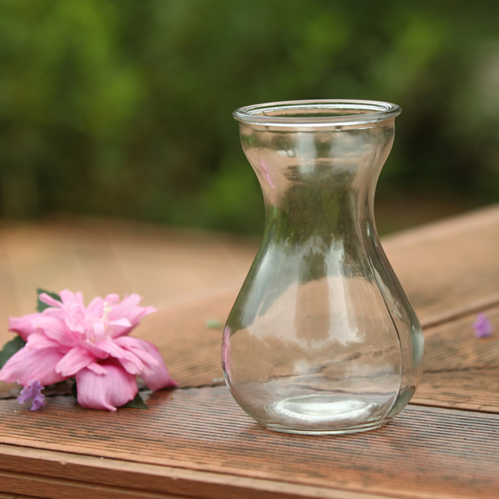 玻璃皿容器 铜钱草 风信子 绿萝水培玻璃花瓶 插花瓶