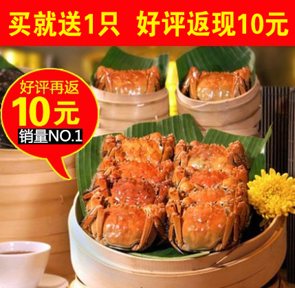 现货正宗太湖大闸蟹 六月黄螃蟹3.0-3.5两 特价团购 满8包邮