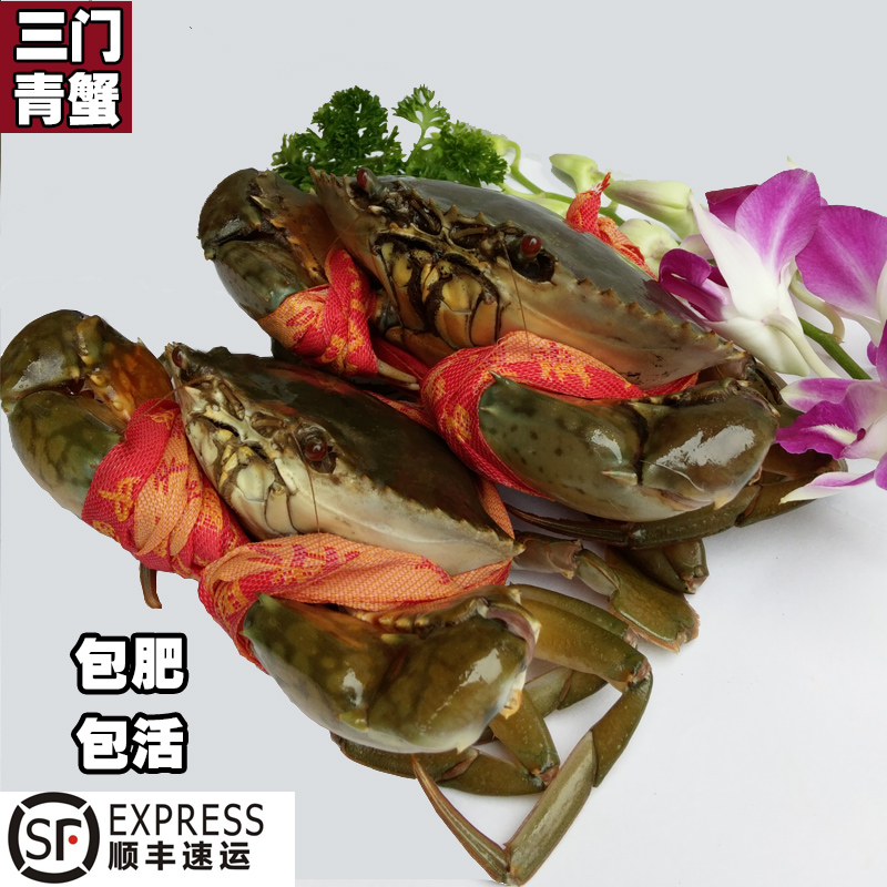 台州特产三门青蟹鲜活水产品海鲜肉蟹香辣蟹大公蟹螃蟹顺丰包邮