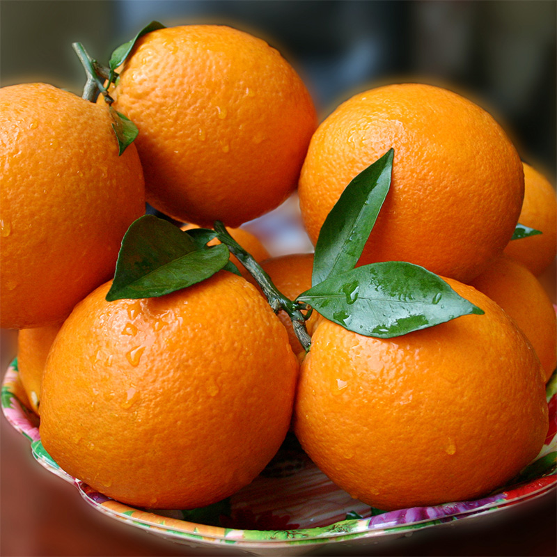 新鲜水果橙子  脐橙现摘现发  橘子  农家橙子果园直发9斤包邮