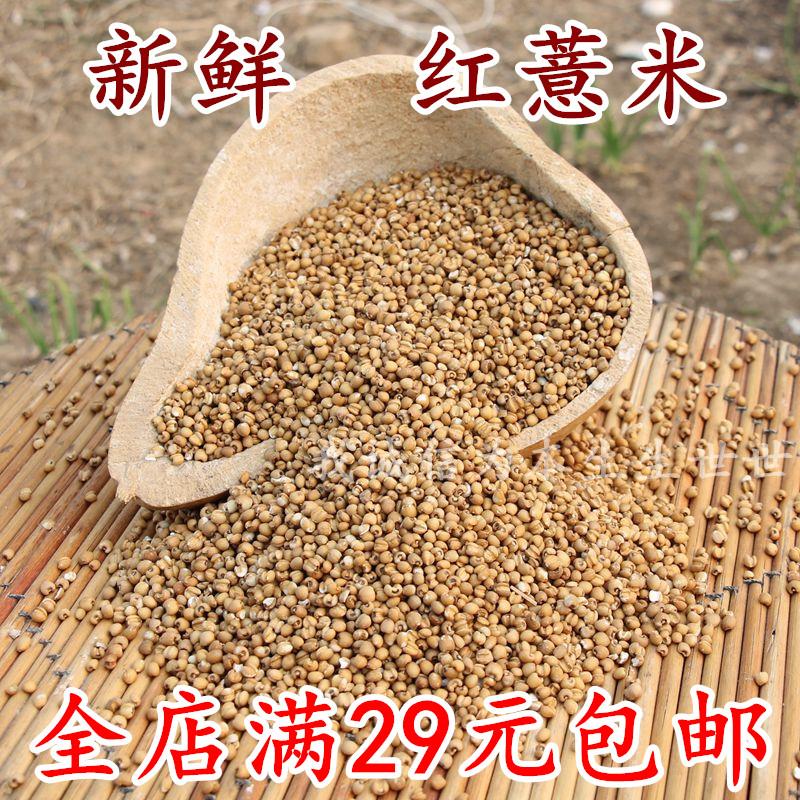 正宗 红薏苡仁 小薏米 农家自产 有机 糙薏米仁 散装250g半斤