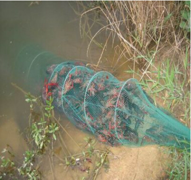 23米地笼渔网虾笼螃蟹甲鱼捕鱼工具折叠地笼鱼网捕鱼
