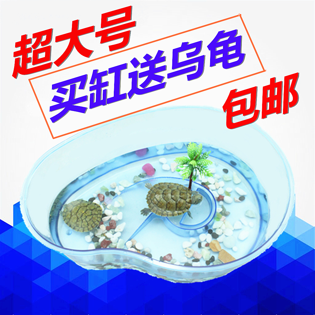 特价！宠物乌龟缸带晒台水龟苗巴西龟草龟专用缸椰岛缸多款 包邮
