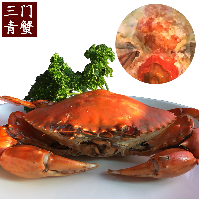 台州特产正宗三门青蟹大红膏母螃蟹鲜活水产海鲜包肥包活顺丰包邮