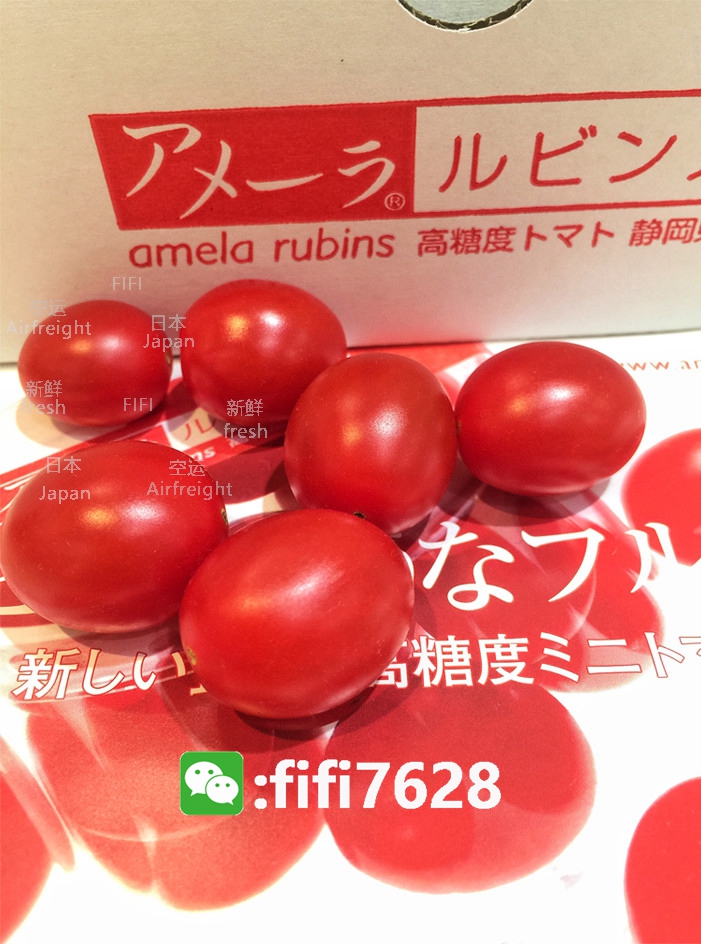 日本进口静冈县高甜度小番茄西红柿