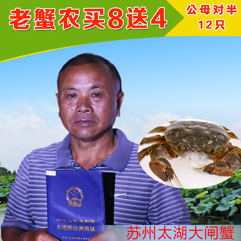 苏州太湖大闸蟹鲜活现货公2.5-2.8母蟹1.5-1.8两8只送4只新鲜螃蟹