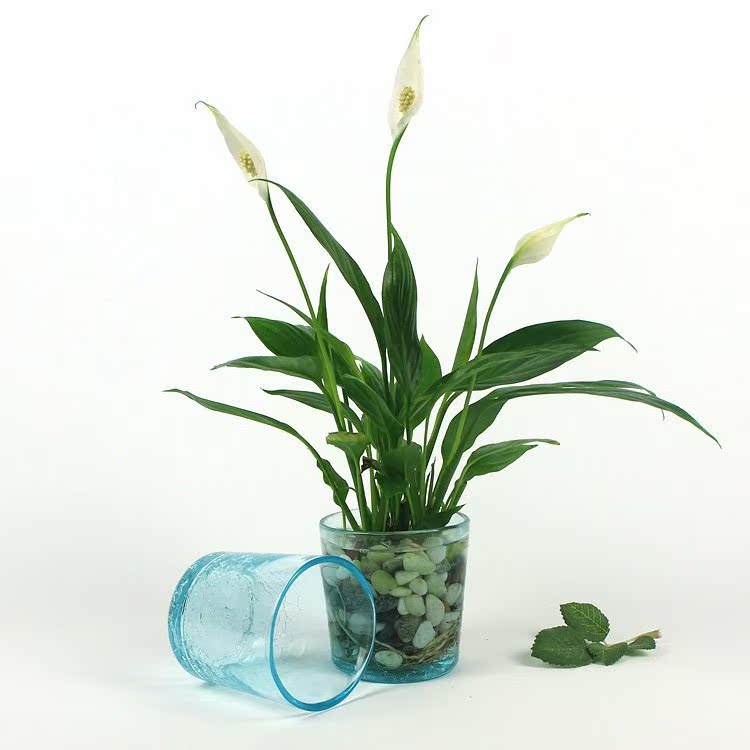 简约淡蓝色水炸纹创意玻璃小花瓶 家居饰品台面摆件 水培绿萝花器
