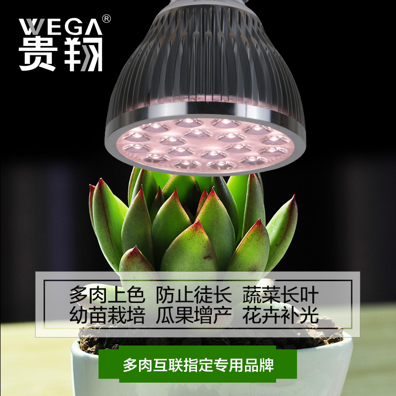 贵翔植物生长灯补光灯多肉水草组培育苗室内花卉种植LED补光射灯
