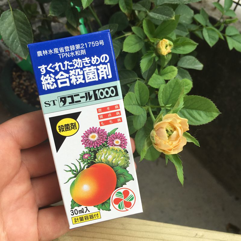 日本木村卓功推荐 杀菌剂细菌病碳蛆病黑斑病 月季多肉蔬菜瓜果