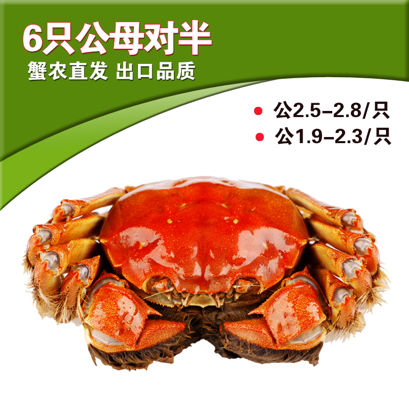 苏州东山太湖大闸蟹鲜活现货公2.5-2.8母1.9-2.3两6只新鲜螃蟹