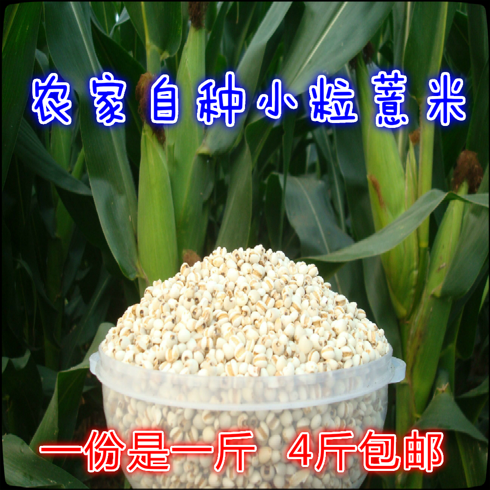 贵州小粒薏米仁500g薏苡仁农家自产杂粮新鲜薏仁米4斤包邮
