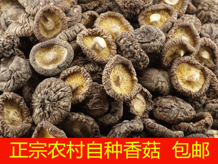 陕南特产农家自种 香菇干货500g 干香菇 蘑菇 冬菇椴木 新货 包邮