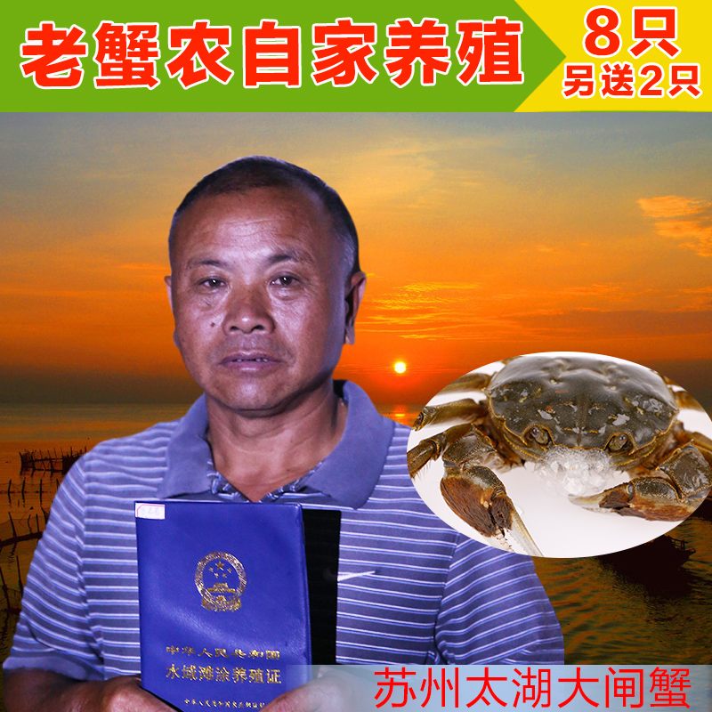 苏州太湖大闸蟹鲜活新鲜现货 公2.9-3.3母1.9-2.3公母对螃蟹8送2