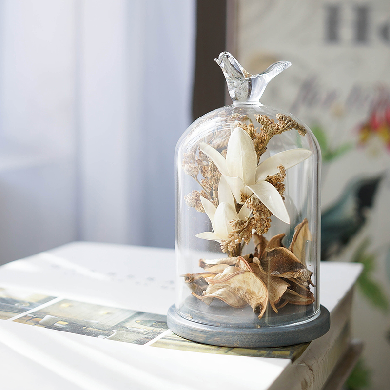 造生活田园小鸟玻璃罩摆件 创意干花透明花瓶 餐桌客厅家居装饰品