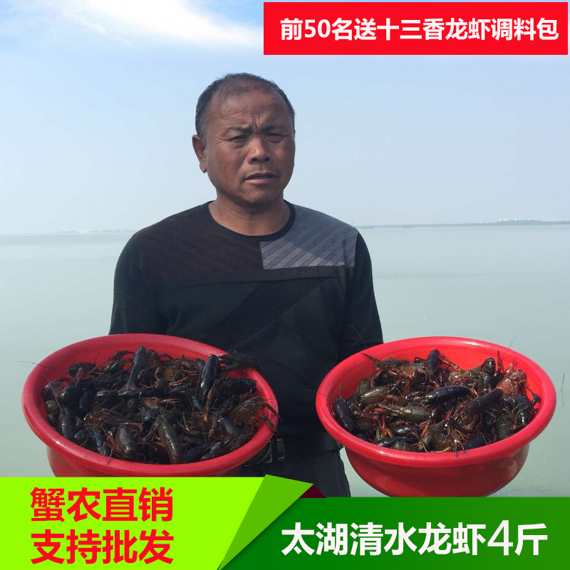 太湖原生态新鲜清水鲜活小龙虾野生活虾4斤8钱以上 量大可批