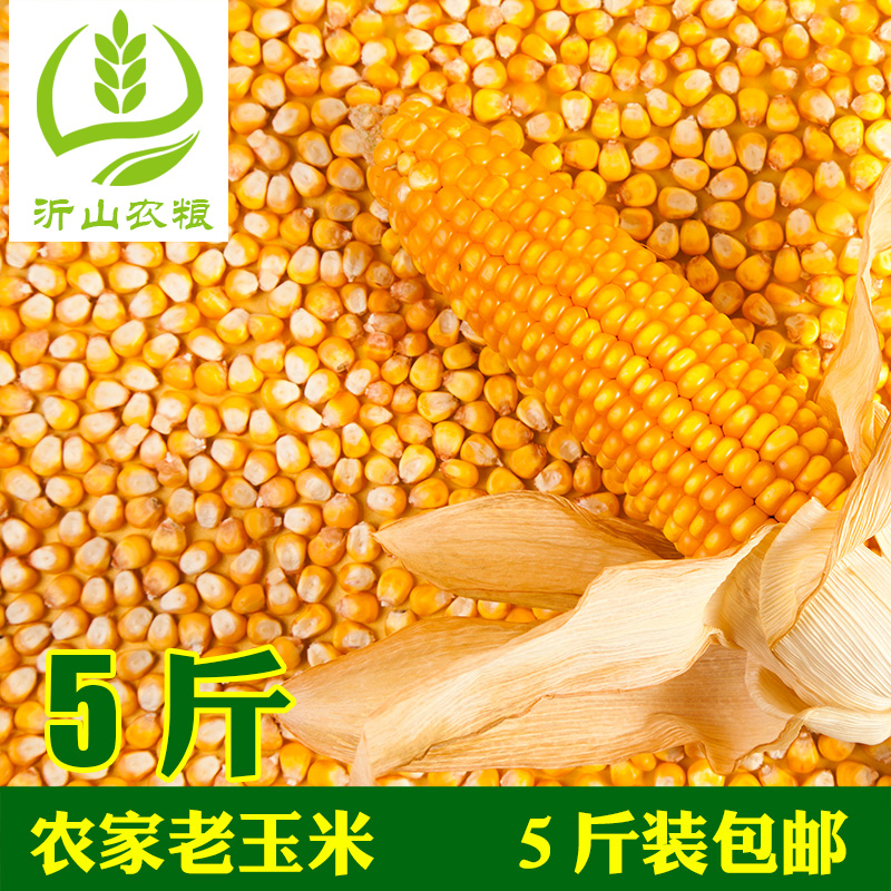 新玉米粒农家自产散装五谷杂粮可用于小鸡鸭鹅饲料 5斤装包邮
