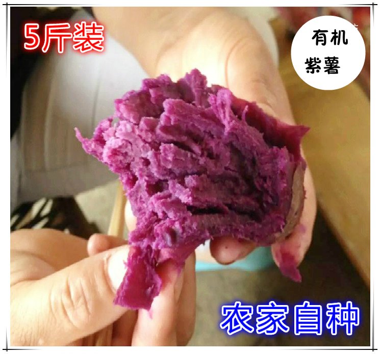 【有机小紫薯】 紫薯新鲜 紫薯  红薯 富硒  现挖现卖 5斤装 包邮