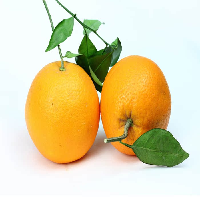 新鲜榨汁20斤 赣南新鲜水果橙子 孕妇手剥脐橙包邮
