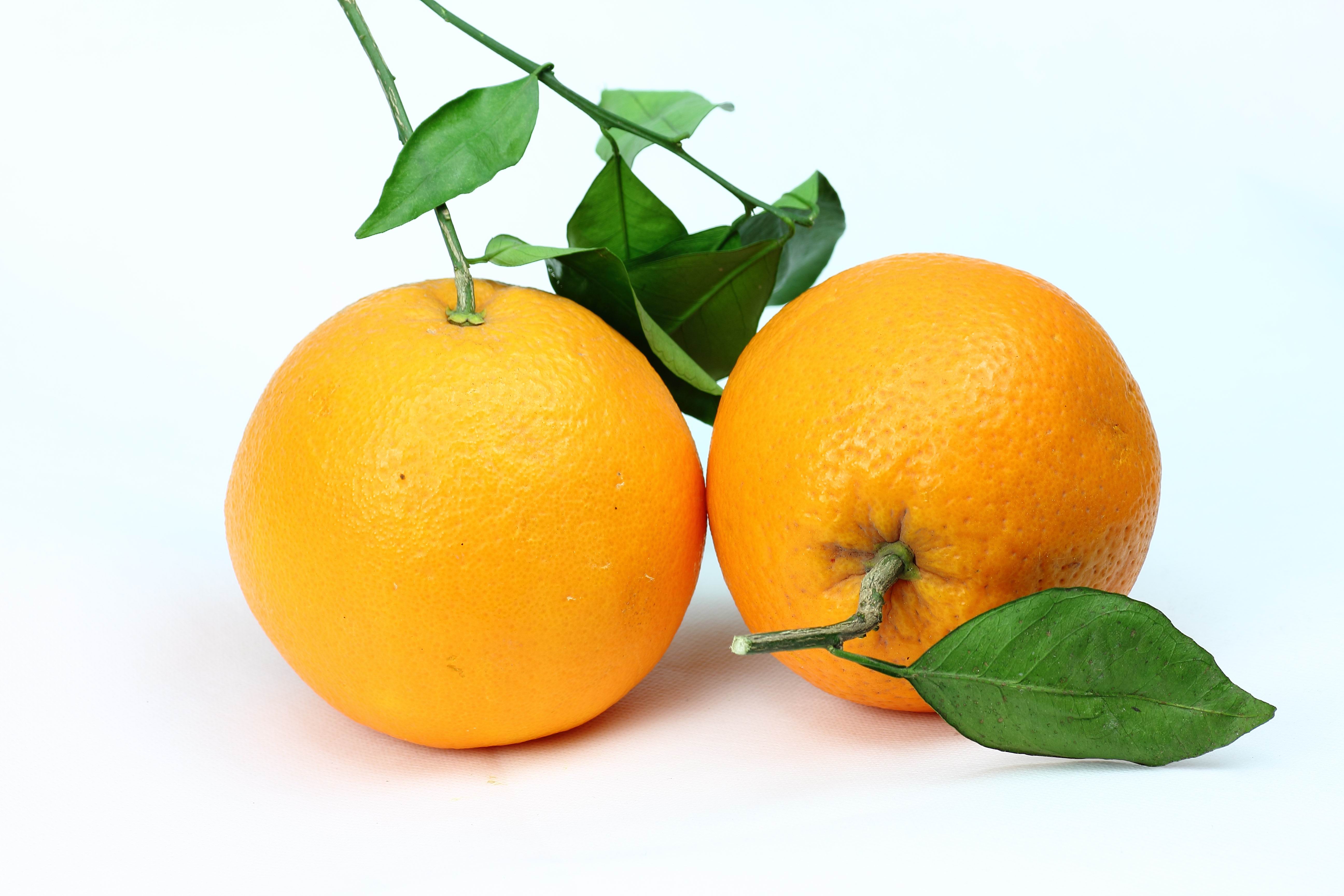 新鲜榨汁2斤 赣南新鲜水果橙子 孕妇手剥脐橙包邮